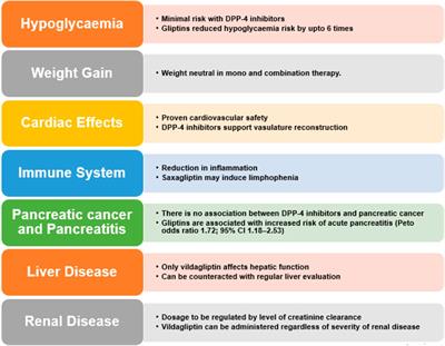 DPP-4 inhibitors for treating T2DM - hype or hope? an analysis based on the current literature